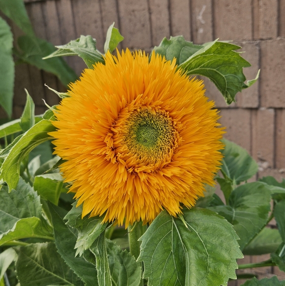 Meet your Posher, Hannah - Picture 2 of 13